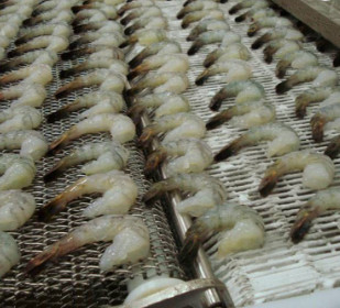 316ステンレス鋼の釣り合った織り方の網のコンベヤー ベルトの金網