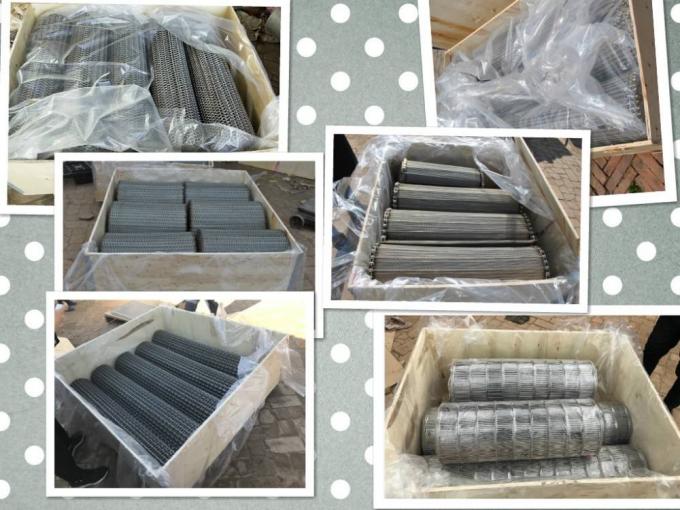 SUS316Lのステンレス鋼のConveyableコンベヤー ベルトの製作の網ワイヤー 6