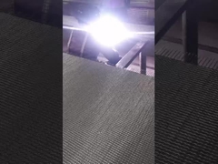 高温抵抗の熱処理の金網